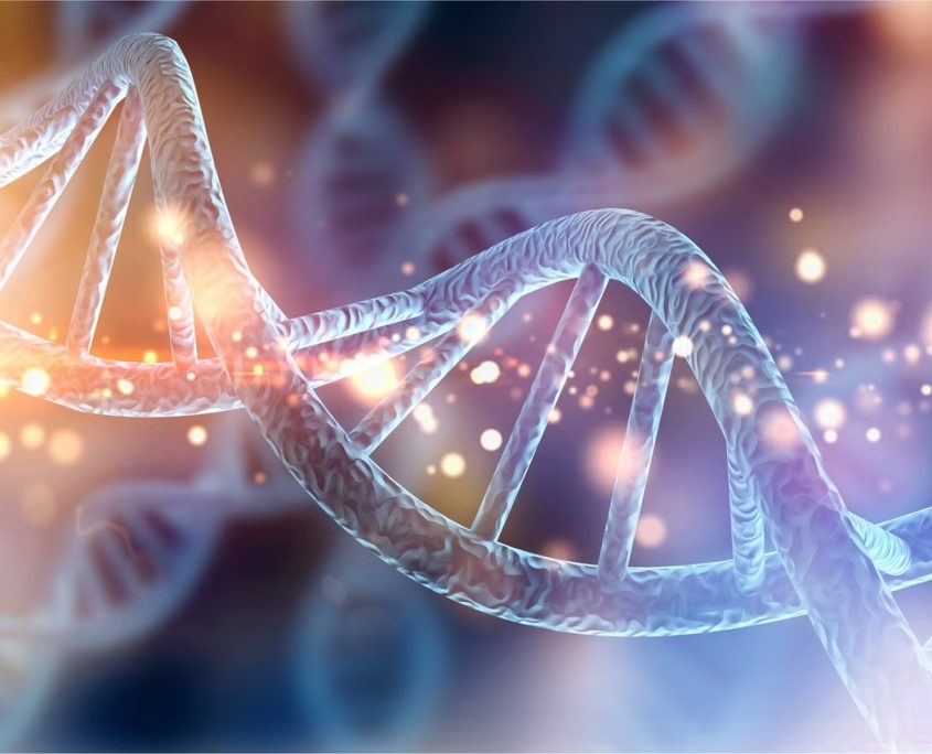 ADN 3-rose violet-Alteralliah-Harmonisation quantique