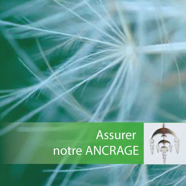 Clé de l'ADN pour l'ancrage