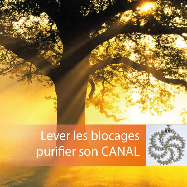 Clé de la Connexion pour les dons et potentiels