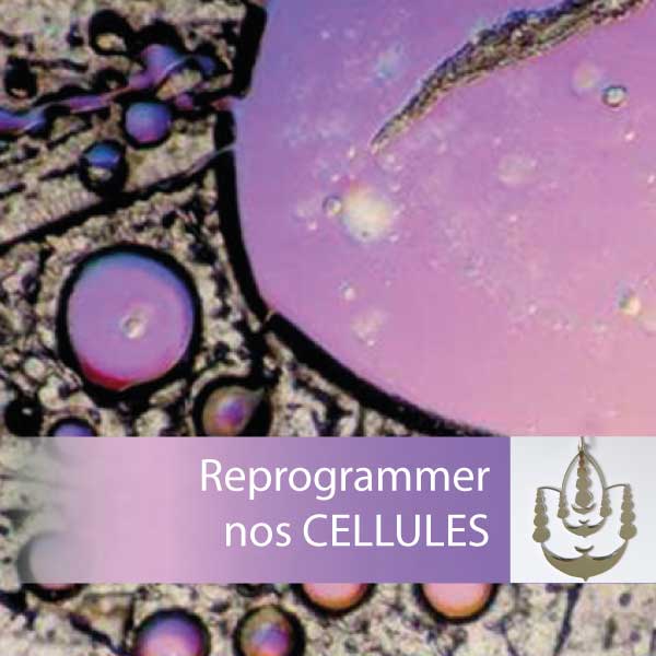 Clé du Corps pour la vitalité et la santé